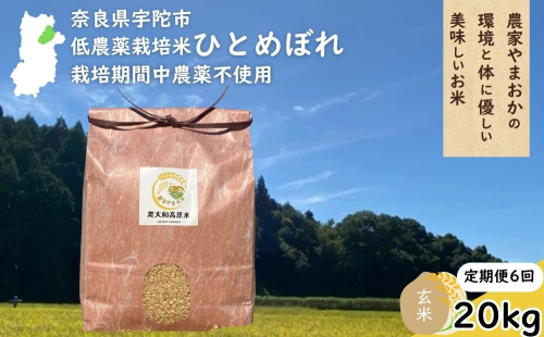 【定期便6回】ひとめぼれ 低農薬栽培＜令和7年産 玄米 20kg ＞ / ふるさと納税 低農薬 米 お米 こめ コメ 国産 新米 玄米 一等米 農家やまおか 奈良県 宇陀市 2408628 - 奈良県宇陀市