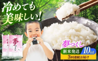 [全3回定期便][令和7年度産 新米!] 福岡県産米 夢つくし 10kg(5kgx2袋) 精米[築上町][有限会社ファインリョーコク] [ABCO025] 白米 米 お米 精米 新米 ゆめつくし ご飯 ごはん おこめ 弁当 お弁当 90000 90000円