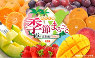 【奇数月 6回定期便】旬 人気 フルーツ 南国宮崎産 太陽のタマゴ ピオーネ いちご みかん メロン マンゴー 柑橘 ぶどう 果物 詰め合わせ 宮崎県 九州＜A-1コース M110＞