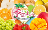 【偶数月 6回定期便】旬 人気 フルーツ 南国宮崎産 マンゴー シャインマスカット いちご 日向夏 梨 みかん 柑橘 ぶどう 果物 詰め合わせ 宮崎県 九州＜B-2コース M220＞