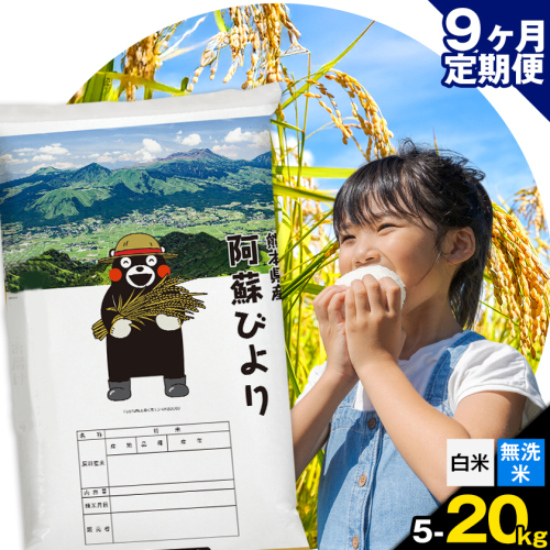【9ヶ月定期便】阿蘇びより 選べる 白米 無洗米 5kg 10kg 15kg 20kg 《お申込み翌月から出荷》 ｜訳あり 国産米 人気米 熊本県産米 お米 生活応援米 2408780 - 熊本県南阿蘇村