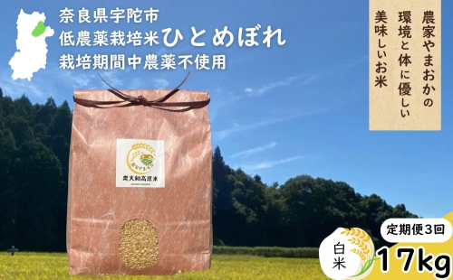 【定期便3回】ひとめぼれ 低農薬栽培＜令和7年産 白米 17kg ＞ / ふるさと納税 低農薬 米 お米 こめ コメ 国産 新米 玄米 一等米 農家やまおか 奈良県 宇陀市 2408791 - 奈良県宇陀市