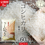 【 6ヶ月 定期便 】【 令和7年産 】 コシヒカリ 精米 10kg ( 10kg × 1袋 ) × 6回 ( 合計 60kg )（茨城県共通返礼品かすみがうら市）新米 米 ごはん もっちり 甘い コメ お米 白米 銘柄米 [EX020sa]