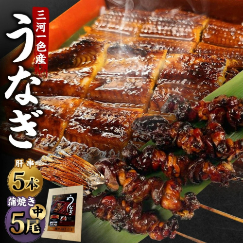 三河一色産 うなぎ蒲焼き 中5尾 ＋ 肝串焼き 5本 蒲焼タレ 肝串焼き 鰻 お魚 湯煎 惣菜 セット 簡単調理 冷凍 幸田町 送料無料 2408794 - 愛知県幸田町