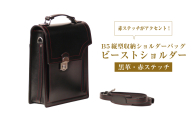 本革仕様のＢ５縦型収納ショルダーバッグ【ビートルショルダー（黒革・赤ステッチ）】