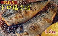 訳あり トロ 塩サバ フィレ 約1.5kg 鯖 さば 訳アリ わけあり 切り身 塩さば 塩鯖 フィーレ 魚貝 魚介 人気 冷凍 冷凍食品 大容量 切身 家庭用 レシピ おかず おつまみ 惣菜 弁当 不揃い 規格外 傷 味噌煮 煮付け 竜田揚げ 南蛮漬け グルメ 贈答 贈物 ギフト 長期保存 小分け 焼き方 炊き込み お取り寄せ ふるさと納税 ふるさと納税鯖 送料無料 千葉県 銚子市 飯田商店
