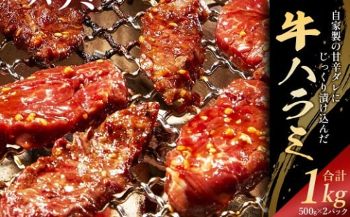 自家製甘辛ダレ牛ハラミ　1kg（500g×2パック）　【07521-0138】 2409256 - 福島県三春町