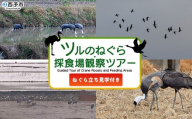 ＜ツルのねぐら・採食場観察ツアー（ねぐら立ち見学付き）＞ つる ツル 鶴 鳥 野鳥 貴重 体験 観察 ツアー ねぐら ネグラ ねぐら立ち ナベヅル 鍋鶴 マナヅル 真鶴 真名鶴 野鳥観察 採食場 西予市観光物産協会 愛媛県 西予市