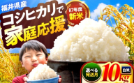【通常発送】小浜市産コシヒカリ 精米 10kg 若狭の自然が育てたごはん 国産米 福井県 / 白米 新米 地域密着 米問屋 小浜市 / 梅田東米穀店 [BFEK001]