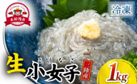 生 小女子(こうなご) 三陸産 数量限定 1kg 冷凍 刺身 生食 小分け 刺身用 生食可能 小女子 こうなご 新子 しんこ イカナゴ 稚魚 新鮮 海鮮 魚介 国産 取り寄せ グルメ 急速冷凍 岩手 大船渡 岩手県 大船渡市