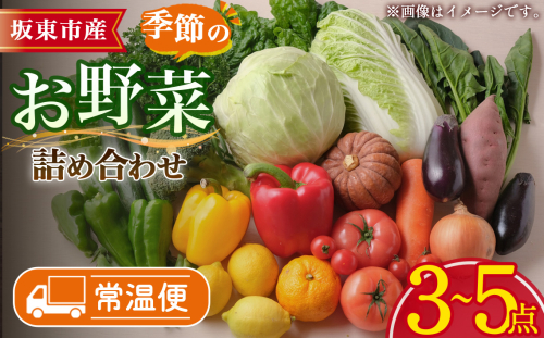 【坂東市産】季節のお野菜詰め合わせ ／ やさい 野菜 旬 産地直送 新鮮 詰め合わせ 旬の野菜セット 葉物野菜 根菜 トマト レタス 時短料理 常備菜 おうちごはん 野菜不足解消 彩り野菜 贈り物 ギフト 生活応援 季節限定 茨城県 No.876 2410101 - 茨城県坂東市