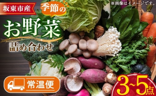 【坂東市産】季節のお野菜詰め合わせ ／ やさい 野菜 旬 野菜セット 採れたて 新鮮 産地直送 季節限定 茨城県 No.876 2410101 - 茨城県坂東市
