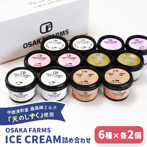 OSAKA FARMS ICE CREAM 詰め合わせ12個入りセット（ミルク・チョコ・イチゴ・抹茶・チョコチップ・ラムレーズン）6種×各2個【51014】 2410105 - 北海道中標津町