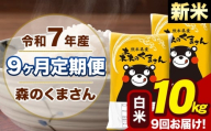 【9ヶ月定期便】令和7年産 新米 森のくまさん 白米 10kg 5kg×2袋 計9回お届け《お申込み翌月から出荷》お米 こめ 熊本県産 ご飯 備蓄