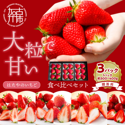贈答用いちご 3品種食べ比べセット(3パック入)《 いちご 苺 イチゴ フルーツ 果物 国産 フルーツ工房はたや あまえくぼ 章姫 あまクイーン ロイヤルクイーン ぽりっちご あまおとめ 堅しろう 》【2502C09701】 2410361 - 兵庫県加古川市