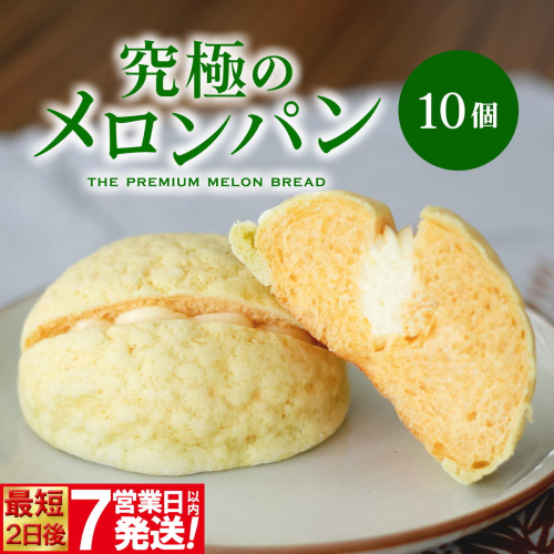 自慢の逸品!! 究極のメロンパン 10個入×1箱 K2664 2410666 - 茨城県境町
