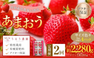 【2回定期便】 うるう農園のあまおう サイズ色々4パック （計約1140g） 【2026年3月上旬～4月下旬発送予定】 あまおう いちご 苺 果物 フルーツ 定期便 冷蔵 福岡県 太宰府