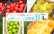 《先行予約》特秀品Bコース【定期便4回】フルーツ定期便 さくらんぼ 紅秀峰 黄桃  シャインマスカット 洋梨 ラネージュ 令和8年産 山形県産【2026年6月中旬頃から発送開始予定】※配送不可 沖縄・離島　078-B-AF029