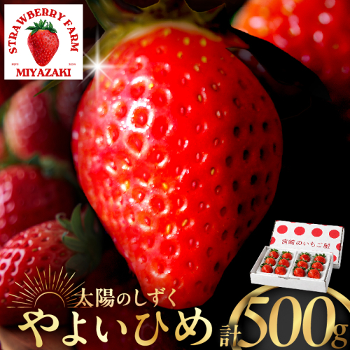≪数量限定≫都農町産いちご「やよいひめ」計500g フルーツ 果物 デザート イチゴ 国産_T059-0015 2411170 - 宮崎県都農町