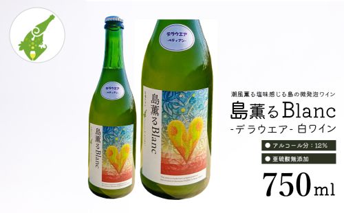 島薫るBlanc 2025 -デラウエアペティアン-　750ml 微発泡白ワイン 酸化防止剤無添加 2411188 - 兵庫県淡路市
