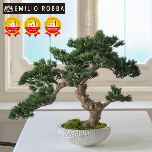 アートフラワー エミリオ・ロバ　盆栽　TUTTA30500 2411292 - 三重県名張市