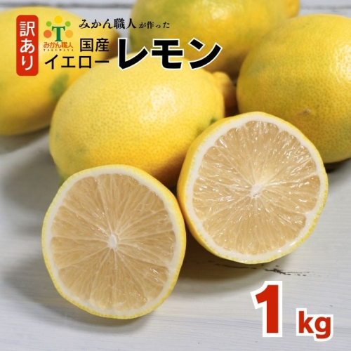 訳あり レモン（イエローレモン） 1kg りのか 減農薬 レモン イエローレモン 農家直送 こだわり らんきんぐ 柑橘 かんきつ 檸檬 果物 くだもの 果実 国産 フルーツ 有名 愛媛 ブランド 愛媛県産 瀬戸内 ビタミン 美味しい 生産者 直送 産直 無添加 レモンサワー ジュース チューハイ 愛媛県 愛南町 みかん職人武田屋  2411298 - 愛媛県愛南町