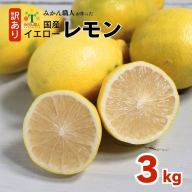 訳あり レモン（イエローレモン） 3kg りのか 減農薬 レモン イエローレモン 農家直送 こだわり らんきんぐ 柑橘 かんきつ 檸檬 果物 くだもの 果実 国産 フルーツ 有名 愛媛 ブランド 愛媛県産 瀬戸内 ビタミン 美味しい 生産者 直送 産直 無添加 レモンサワー ジュース チューハイ 愛媛県 愛南町 みかん職人武田屋