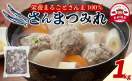 さんまつみれ 1kg サンマ 冷凍 秋刀魚 100％ さんま 簡単調理 味噌汁 健康 フライ おかず おつまみ 晩酌 米 丼 海産物 海鮮 魚介 魚介類 三陸 岩手県 大船渡市
