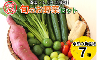 旬のエシカル農産物 7種セット 野菜 おまかせ 新鮮 採れたて 産地直送 やさい とうもろこし トマト 減農薬 きのこ オクラ 玉ねぎ 美味しい 小松島市