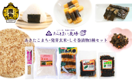 あきたこまち･発芽玄米･しそ巻漬物3種セット【あらとまい農場】 しそ巻大根 しその実漬 漬物 米 あきたこまち 発芽玄米 秋田県 秋田 あきた 鹿角市 鹿角 かづの 詰め合わせ 食べ比べ セット 241145 - 秋田県鹿角市
