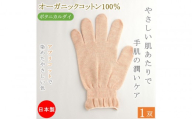 おやすみ ハンドケア オーガニックコットン 100% 手袋 1双 アプリコットで染めたやさしい色合い