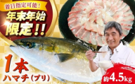 【五島列島直送】 養殖はまち 一本もの（約4.5kg）【有福水産】 [RBV008]