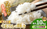 【全6回定期便】【令和7年度】 くまさんの輝き 白米 10kg (1袋) 【TKCラボ（辻米クラブ研究所）】 [AYDI006]