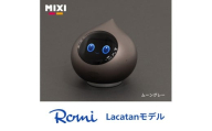 会話AIロボットRomi（Lacatanモデル）本体＜ムーングレー＞【会話AI ロボット Romi 人工知能 ディープラーニング ペット おしゃべり】