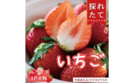 【先行予約】「かすみがうら市共通返礼品」菅谷いちご園の完熟いちご 3Lサイズ 18粒(約420g)×2パック(101-03)