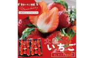 【先行予約】「かすみがうら市共通返礼品」菅谷いちご園の完熟いちご『いちごっ子』 3Lサイズ 11粒×2パック(101-01)