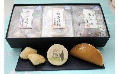 雪月花・美し山・結びの地最中セット 3種類1箱 24120 - 岐阜県大垣市