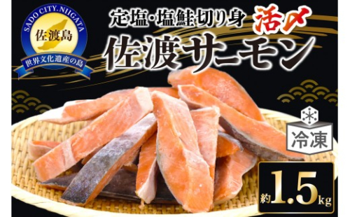 国産銀鮭「佐渡サーモン」塩鮭切身約1.5kg真空包装＜弓ヶ浜水産＞定塩さけ