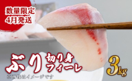【先行受付 4月発送】ブリ  切り身 フィーレ 3kg  天然鰤 国産ぶり buri 産地直送 刺身 お刺身 漬け丼 茶漬け 新鮮 鮮魚 国産 刺身 刺し身 魚 魚介 国産 天然 三重 南伊勢町 伊勢 志摩 三万円 30000円 外湾漁業協同組合