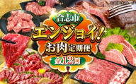 【全12回】合志市お肉エンジョイ定期便 牛肉 馬刺し 黒毛和牛 和王 あか牛 ヒレ サーロイン ステーキ 霜降り ユッケ 牛 馬 肉 セット 厳選 食べ比べ 定期便 カルビ 焼肉 すきやき しゃぶしゃぶ 桜 タタキ レバー ハツ 珍味 [AYZZ013]