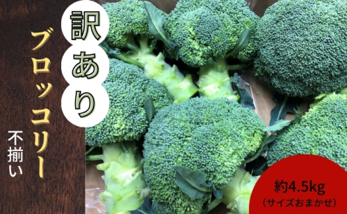 訳ありブロッコリー　約4.5kg（サイズおまかせ） 2412511 - 香川県土庄町