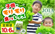 定期便 ≪6ヶ月連続お届け≫ 苦くな～い！野菜ぎらいの子もモリモリ食べるやさしいレタス 約65g×10袋（栽培期間中農薬不使用・洗わず食べられる）【野菜 生野菜 レタス サラダ お弁当 水耕栽培 洗わず食べられる 時短 付け合わせ】[m40-g007]