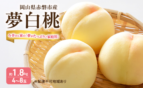 桃 2026年 先行予約  おかやま 夢白桃 今井さん家の「夢がたっぷりご家庭用」 約1.8kg 4～8玉 フルーツ 果物 岡山 赤磐市産 2412605 - 岡山県赤磐市