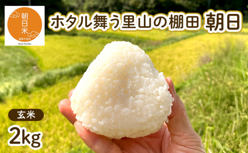 令和7年産 朝日 玄米2kg  ホタル舞う里山の棚田 栽培期間中 農薬 化学肥料不使用 米 岡山県 赤磐市 朝日米 2412607 - 岡山県赤磐市