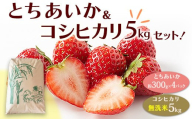 とちあいか（約300g×4パック）＆令和7年産無洗米コシヒカリ5kgセット！｜いちご 米 新米 5キロ 尚仁沢湧水 栃木県 塩谷町 ※2025年12月中旬～2026年4月下旬頃に順次発送予定 ※北海道・沖縄・離島への配送不可