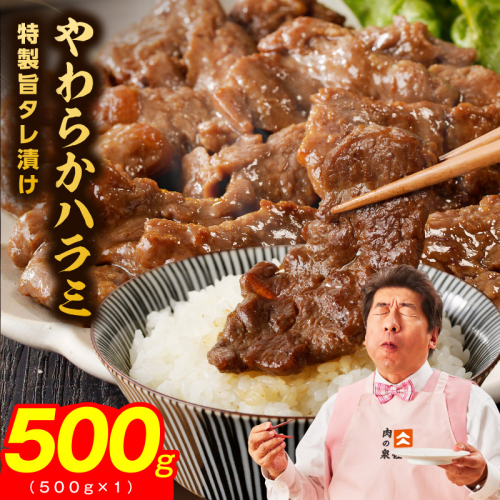 やわらかハラミ 500g【氷温熟成×特製旨ダレ 味付き 訳あり サイズ不揃い 小分け 焼くだけ 焼肉】 mrz0348 2412724 - 大阪府泉佐野市