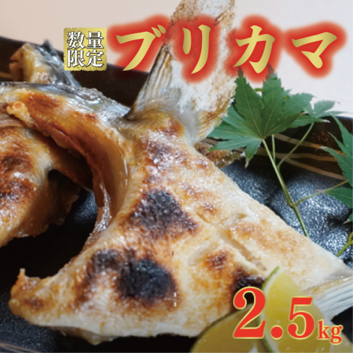 数量限定 ブリカマ 2.5kg 10000円 冷凍 サイズ 不揃い ぶりかま ぶりカマ 鰤かま 食べ物 旬 お手軽 魚海鮮 魚介 父の日 小分け 真空 パック 新鮮 鮮魚 養殖 国産 鰤 ぶり ブリ お取り寄せ ギフト プレゼント おつまみ アテ おかず カマ 塩焼き 煮物 あらだき あら煮 肉 厚 規格外 人気 ハマスイ 愛南町 愛媛県 2412756 - 愛媛県愛南町
