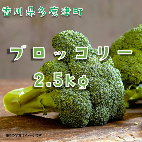 ブロッコリー約2.5kg　サイズおまかせ【L-70】 2412761 - 香川県多度津町