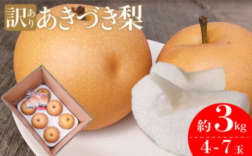 ＜2026年9月中旬頃より発送予定＞訳あり 規格外 あきづき梨 3kg（4～7玉） 2412799 - 高知県佐川町