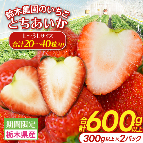 【合計20～40粒入り】いちご とちあいか 600g以上 (300g以上×2パック)｜栃木県 益子町 ふるさと納税 鈴木農園 L 2L 3L ご家庭用 家族用 食べやすい 一口サイズ 粒たっぷり 大満足 いちご イチゴ 苺 果物 フルーツ とちあいか 人気 600g以上 1パックあたり10～20粒入り （DJ003） 2412801 - 栃木県益子町